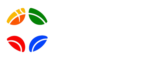 新发展体育网